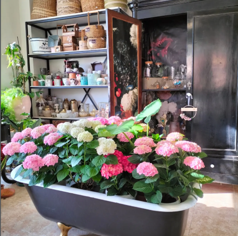 Tina plena de flors - taller floral