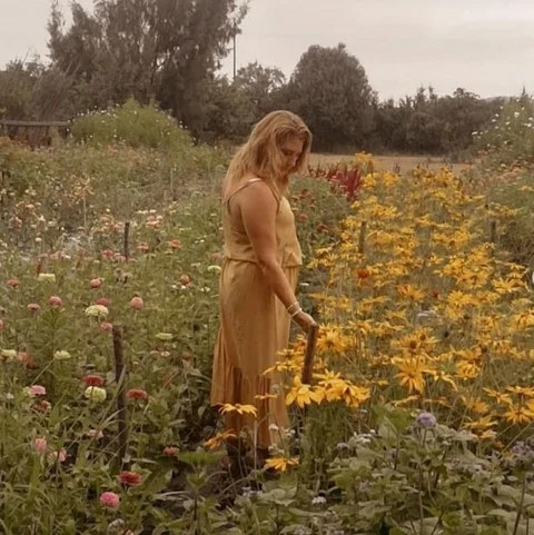 campo floral