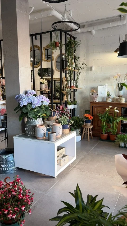 Interior de la tienda con hortensias y macetas