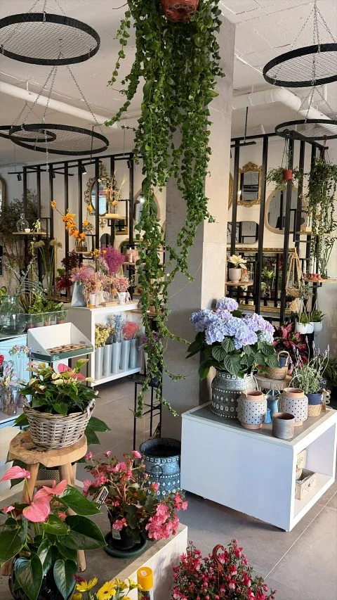 Interior de la tienda con plantas colgantes y flores