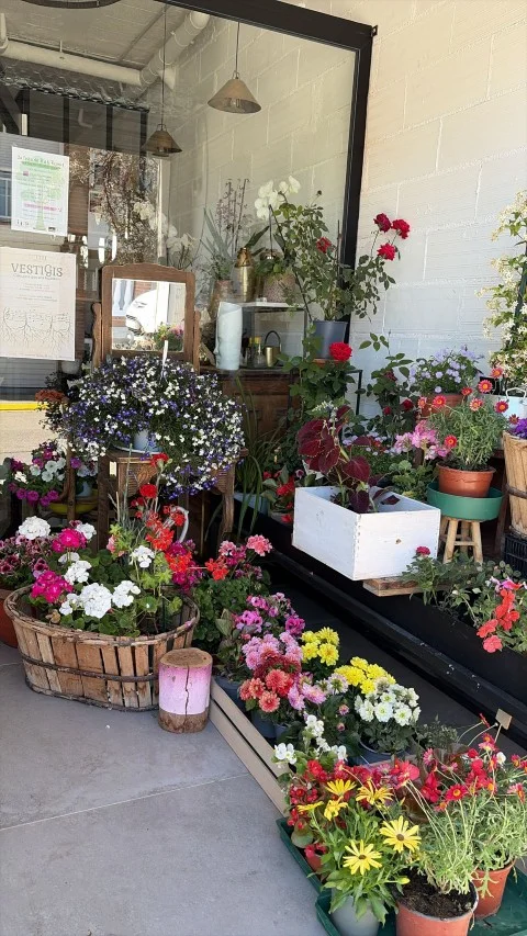 Entrada de la tienda con plantas y flores
