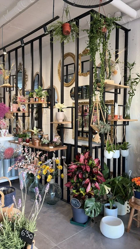 Estanterías con plantas y espejos decorativos