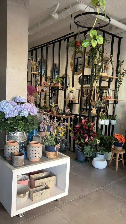 Interior de la tienda con flores y plantas colgantes