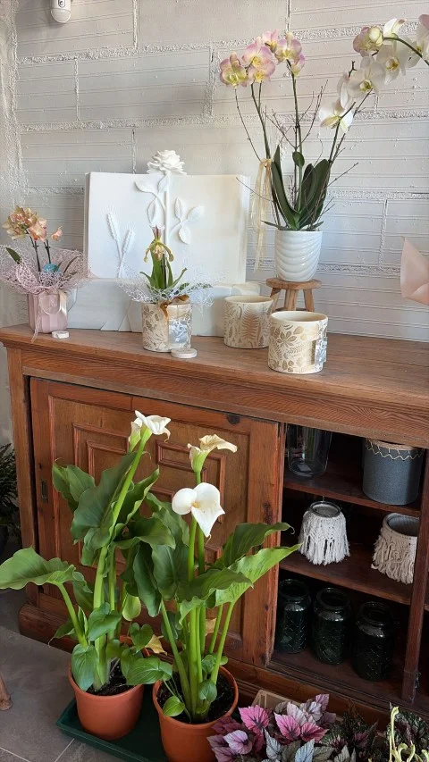 Mueble antiguo con orquídeas y macetas