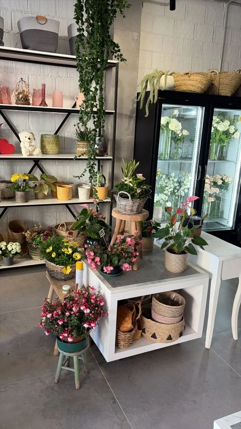 Estantería con flores frescas en cámara